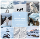 GLACIAL ARTIC